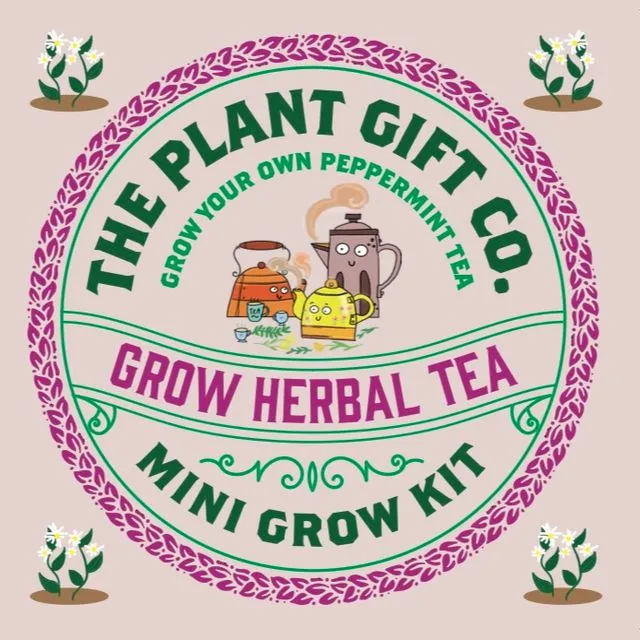 Herbal Tea Eco Grow Your Own Peppermint Plants