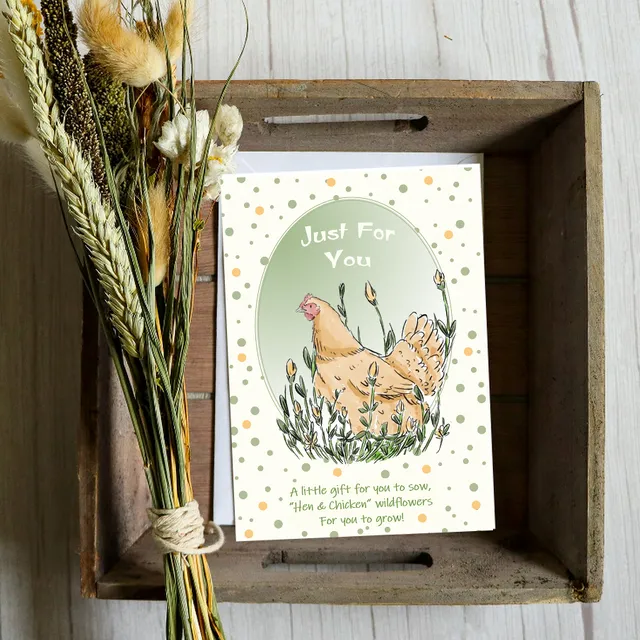 Chicken and wild flowers. Greeting card with a gift of seeds.
