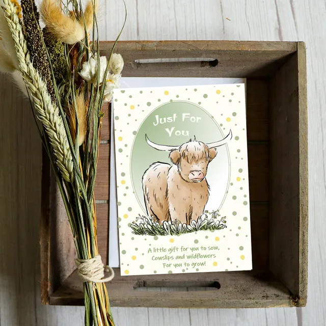 Highland cow and wild flowers. Greeting card with a gift of seeds.