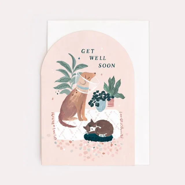 Cat and Dog Get Well Soon Card | Get Well Soon Cards | Cards