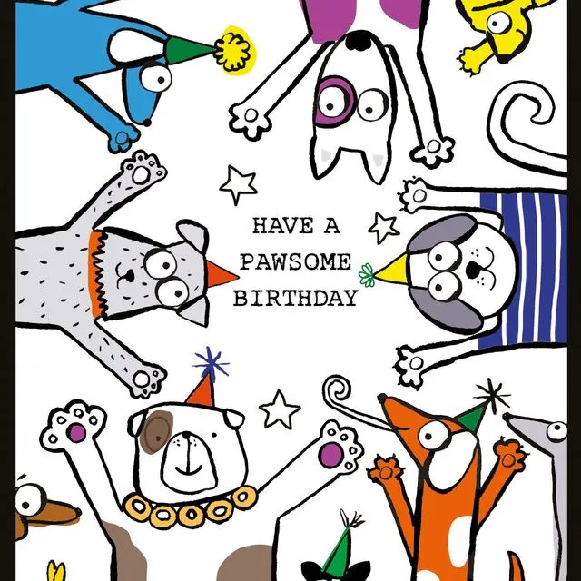 Greeting Card Birthday - Doodle Pawsome Birthday - NBW57
