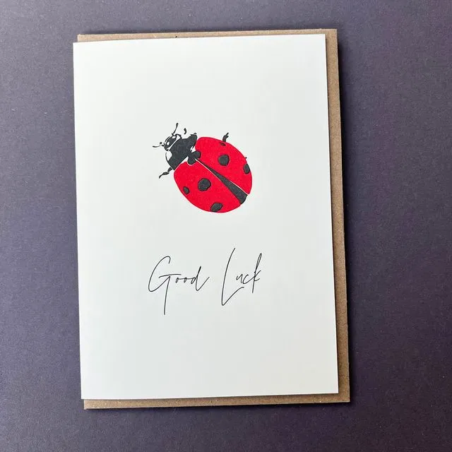 Good Luck Ladybug Card
