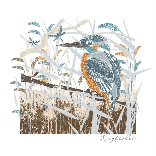 Blank Greeting Card - Woodland Kingfisher - LWN5