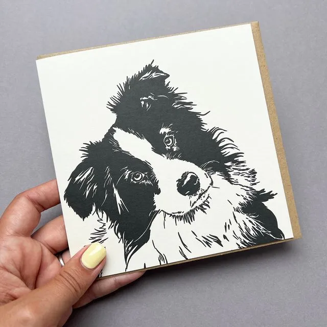 Border Collie Puppy (Copy)