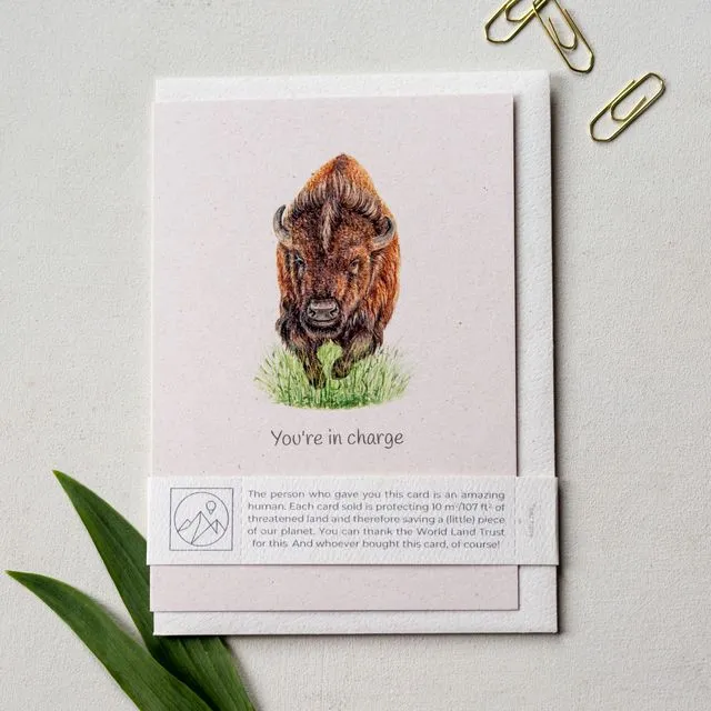 Cute 'You're in charge' Bison Greeting Card