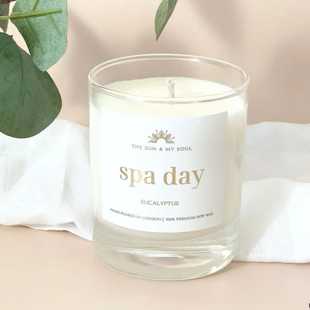 Spa Day Eucalyptus Scented Soy Wax Candle in Gift Box