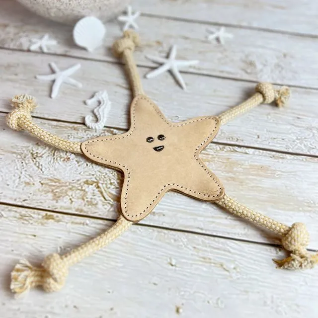 Natural toy for dogs STAR with ROPES