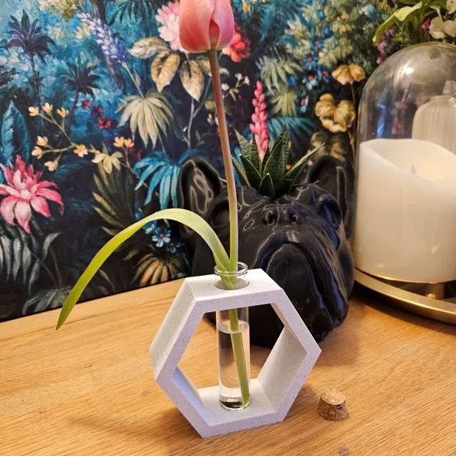 Hexagon Mini Vase Propagator Plant Pot
