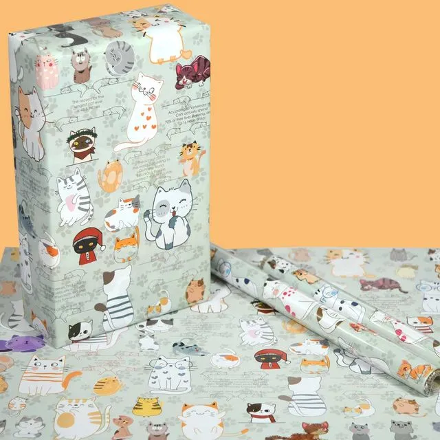 50 Cat Patterns gift wrapping papers for kids birthday theme party