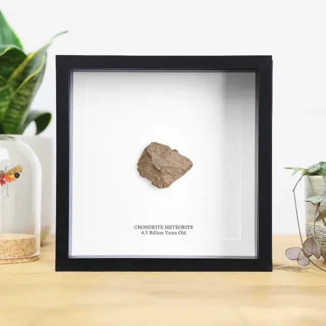Chondrite Meteorite (4.5 billion years old) Handcrafted Box Frame