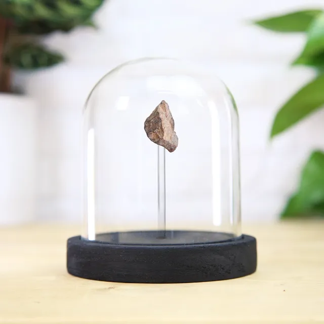 Chondrite Meteorite Glass Bell Jar