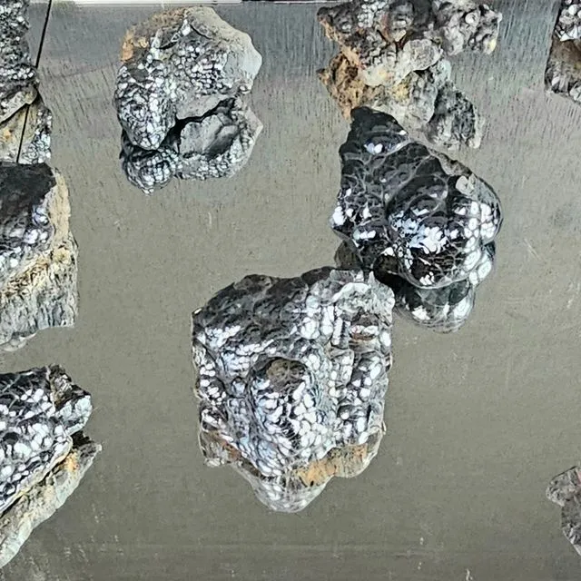 Large Bohydrional Goethite Crystal