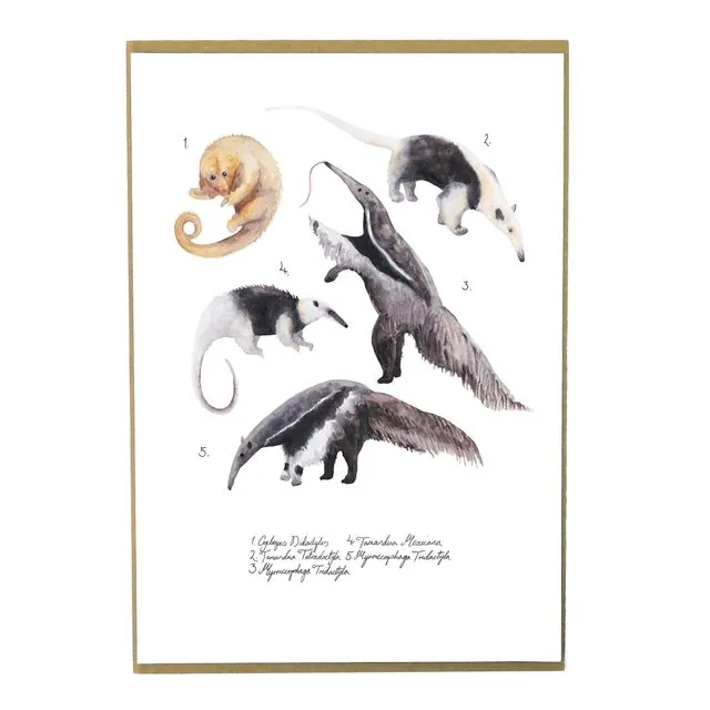 Colony of Anteaters Art Print