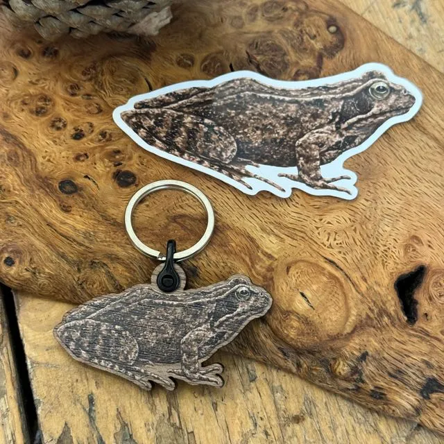 Common Frog Wooden Keyring