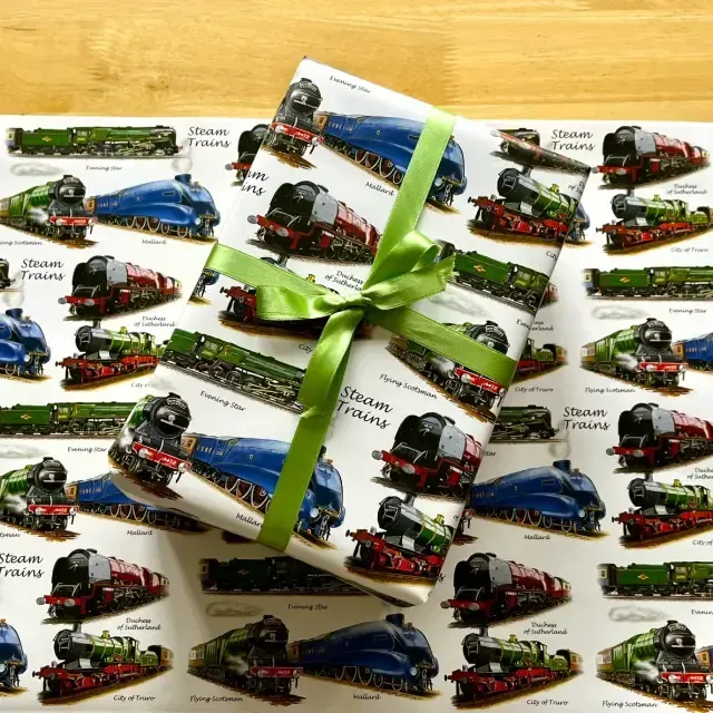 Steam Trains Gift Wrap | 70 x 50cm Gift Wrap Sheet