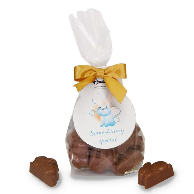 'Some Bunny Special' Milk Chocolate Bunny Shapes. Outer of 6