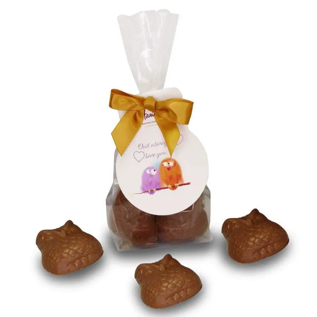'Owl Always Love You' Milk Chocolate Owl Shapes. Outer of 6
